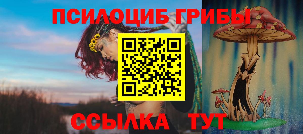Псилоцибиновые грибы ЛСД Будённовск