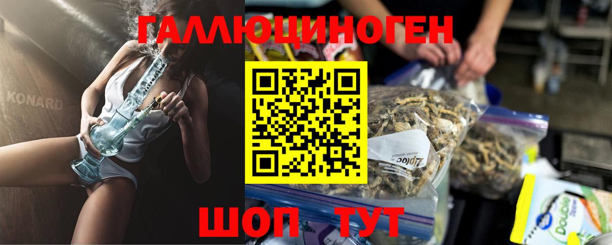 Будённовск  Псилоцибиновые грибы Cubensis  Вход с VPN  Псилоцибиновые грибы Cubensis 