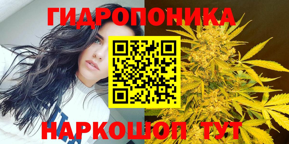 Конопля Bruce Banner Будённовск